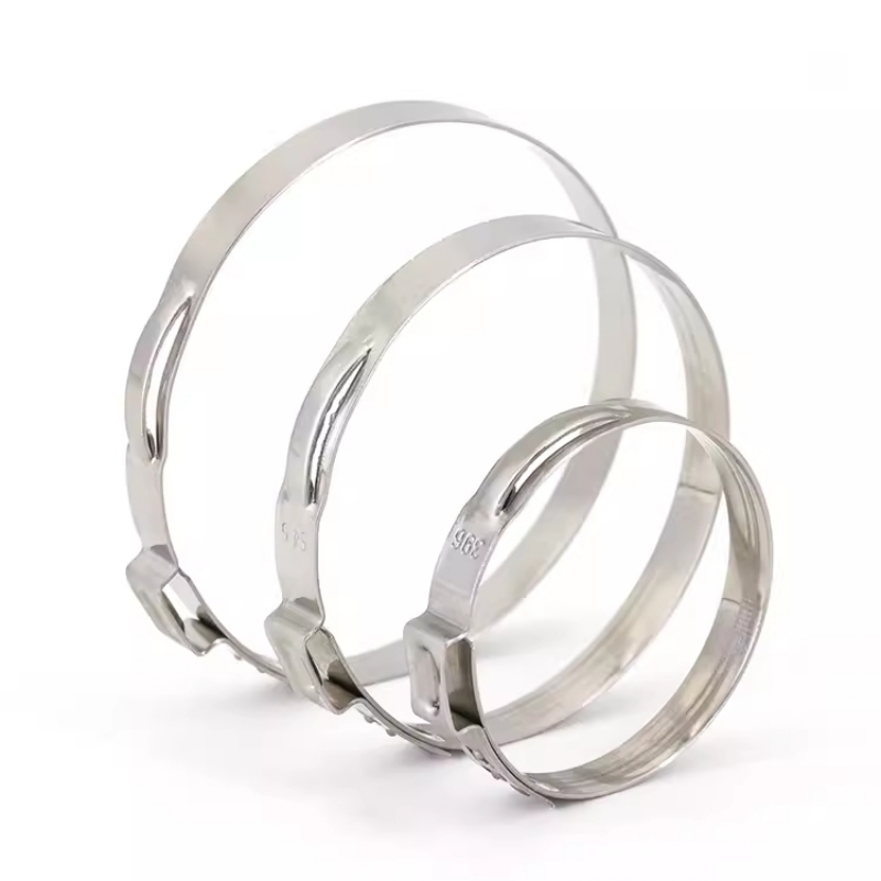 Hose Clamp Assorted - Kit Assortito di 5-20 Pezzi di