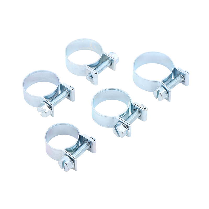 Set di 10 Morsetti per Tubi Ju - Hose Clamp Assorted recensione e prezzo